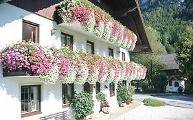Treindlhof